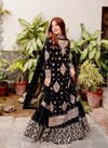 AK 1242 Georgette Pakistani Fancy Kurti Sarara With Dupatta Orders In India